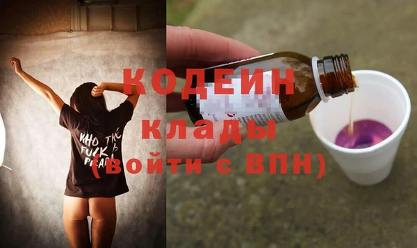 хмурый Дмитриев