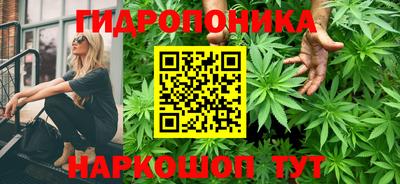 гашик Кинель