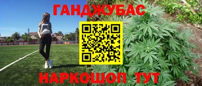 гашик Кинель