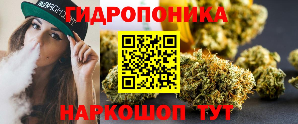 Канабис конопля  Шишки марихуана индика  Чапаевск  Вход с VPN  Бошки марихуана тримм 